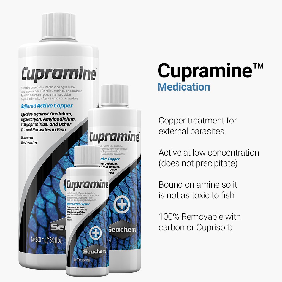 Seachem Cupramine Copper treatment for external parasites Shopee Philippines