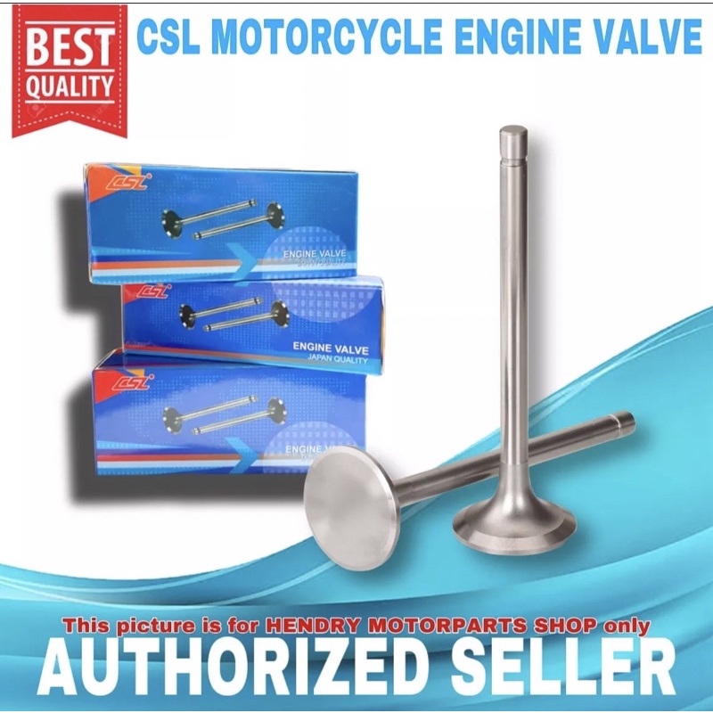CSL Japan Quality Engine Valve For 1Pair (2pcs) yAny Kinds of