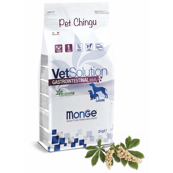 VetSolution Vet Diet Gastrointestinal Dry Dog Food 2 kg | Shopee ...