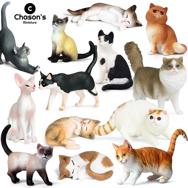 ~Kawaii Cute Miniature Lucky Cat Sphynx Persian Cat Kitten Animal ...