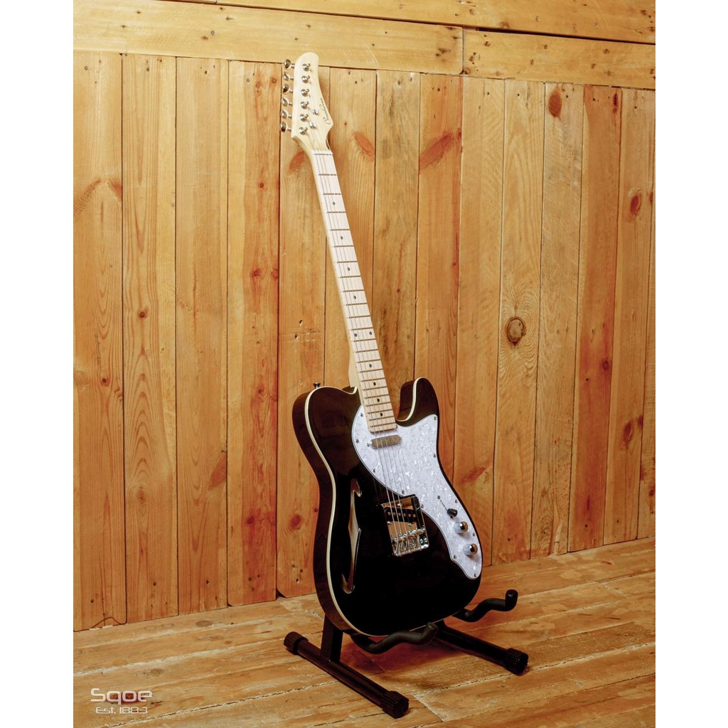 Limited Edition! Cranberries Semi Hollow Telecaster Electric Guitar ...