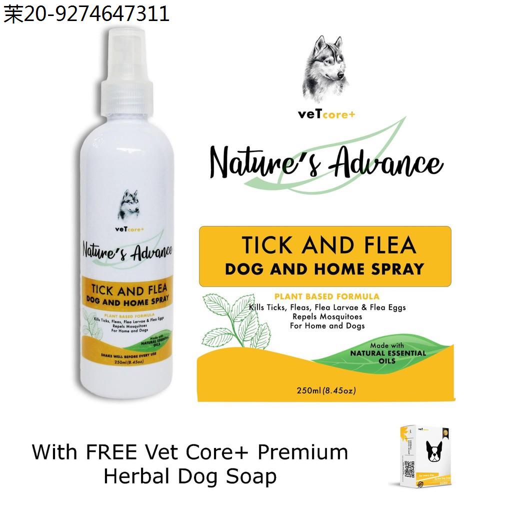 shampoo for dog ♞Vet Core Plus Nature's Advance Tick Spray With Free