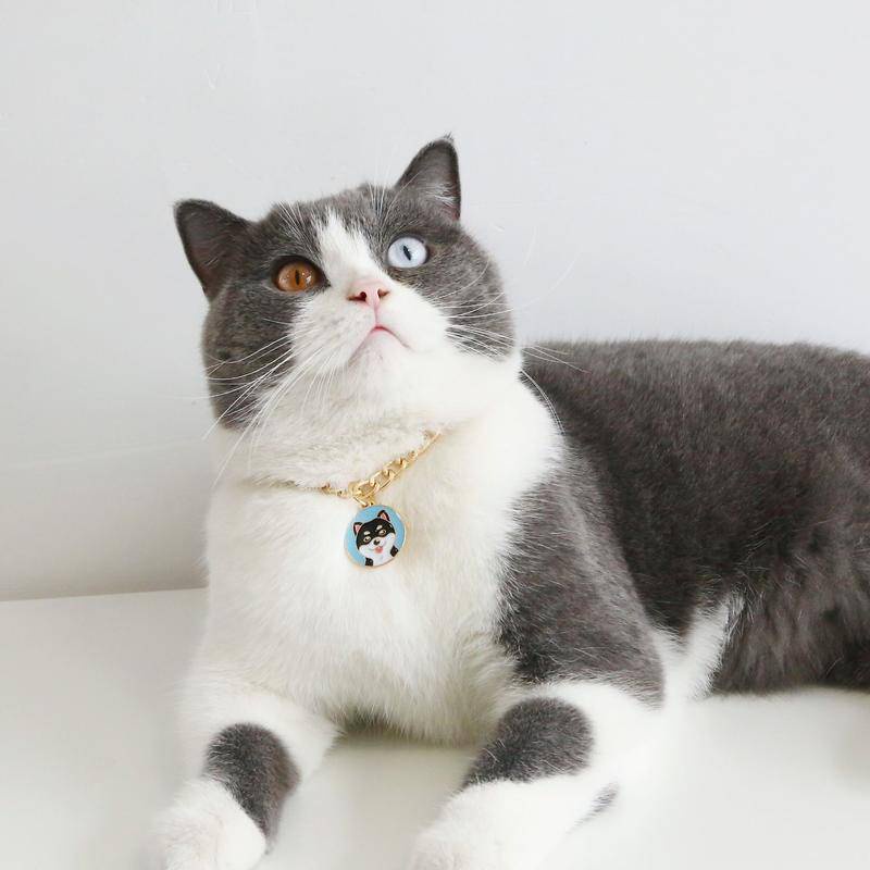 Pet Collar Cat Gold Chain Cat Cartoon Pendant Choker Adjustable ...