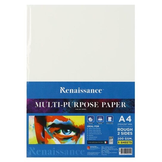 Pound Paper A4 Rough Surface Drawing Renaissance Size (Pack Of 10
