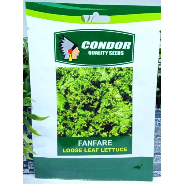 Fanfare ''Loose Leaf Lettuce'' / Condor Sachet (5gms) Shopee Philippines