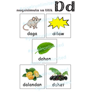 Mga Salitang Nagsisimula sa Titik D | Flashcards & Stickers | Shopee ...