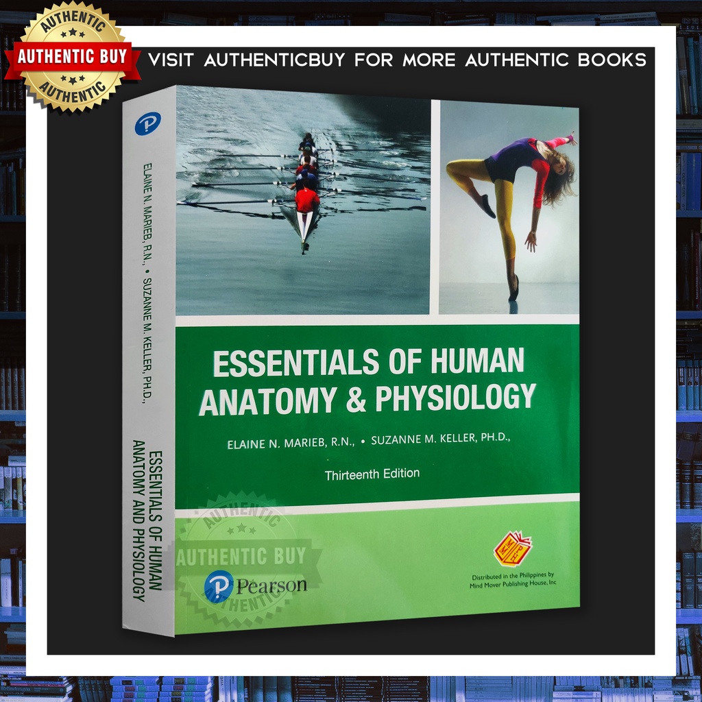 AUTHENTIC / ESSENTIALS OF HUMAN ANATOMY & PHYSIOLOGY 13th Edition by ...