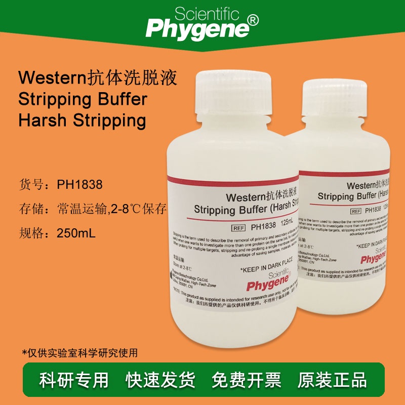WB Antibody Elution Solution Membrane Regeneration Solution Stripping