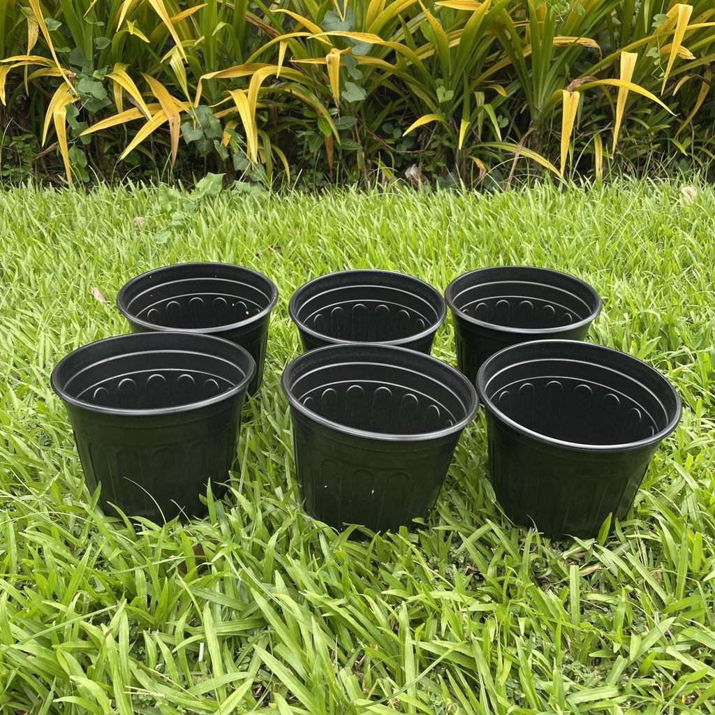 FAMILIFE 6pcs (21cm/32cm) Black Short PVC Pots/Durable Round Thick ...