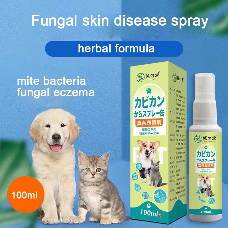 Dog fungal infection, skin disease, dermatitis, itching, eczema, pet