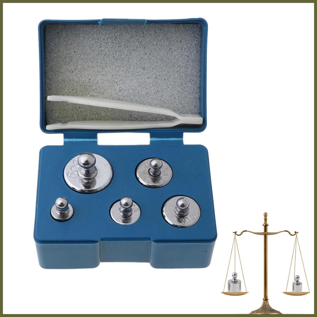 5pcs Steel Calibration Weights Gram Calibration Weight Gram Calibration