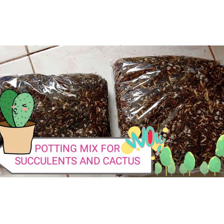 1 KILOGRAMS POTTING MIX FOR SUCCULENTS & CACTUS | Shopee Philippines