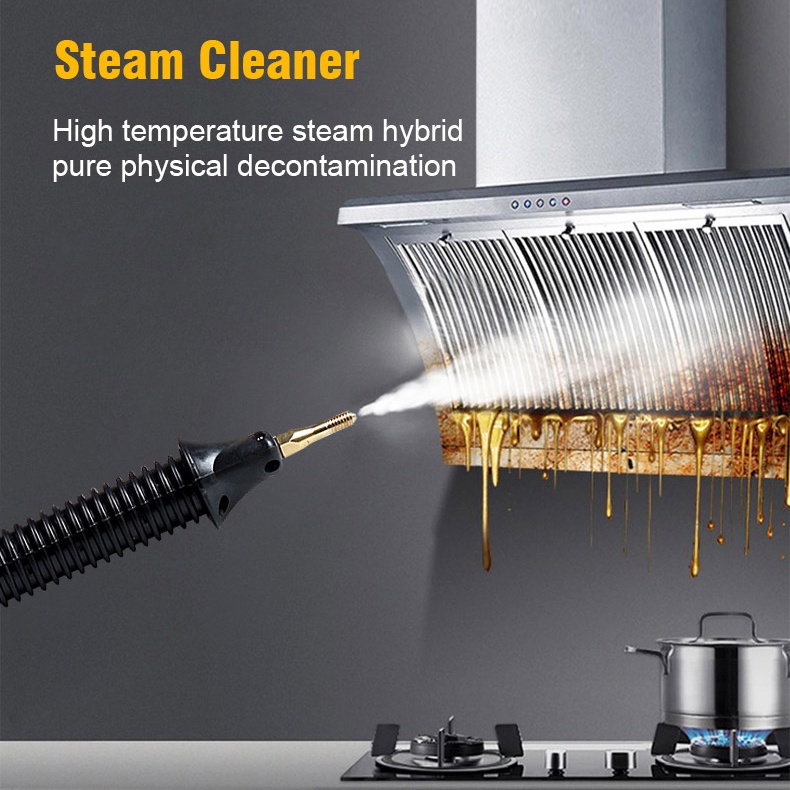 2600W High Pressure High Temperature Handheld Steam Cleaner Range Hood