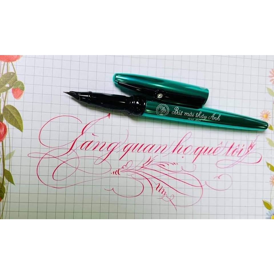 Anh Duong pen SH 080 (thick bamboo leaf nib) | Shopee Philippines
