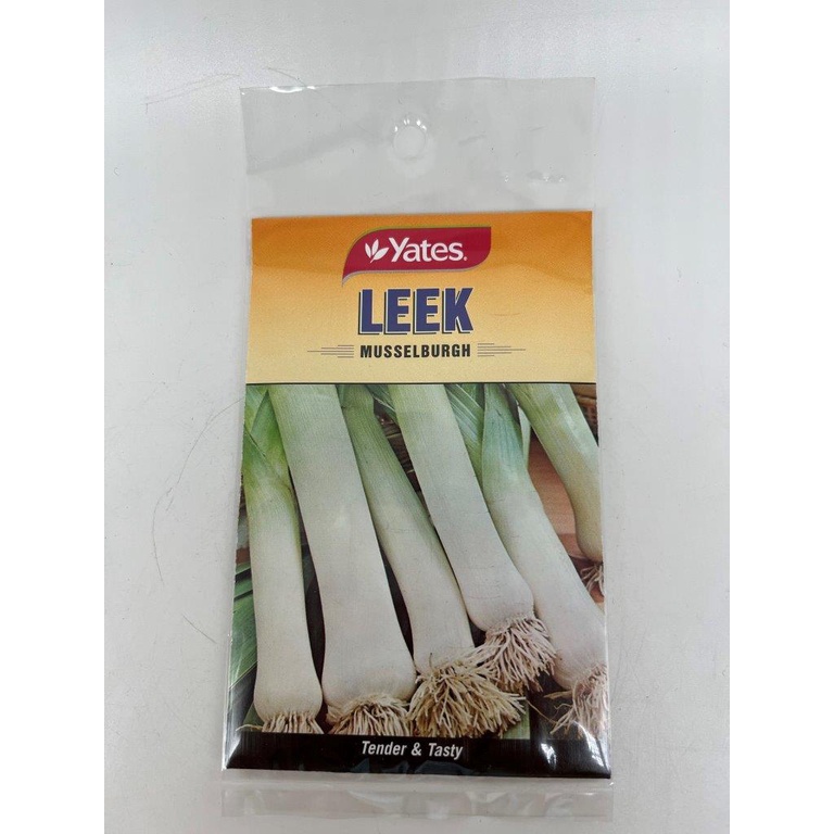 LEEK MUSSELBURGH SEEDS BY YATES ( ORIGINAL GARDEN PACK ) | Shopee ...