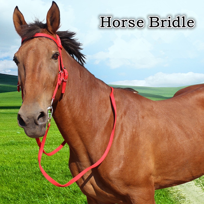 Harness Bridle Easy to put on and take off adjustable horse reins High