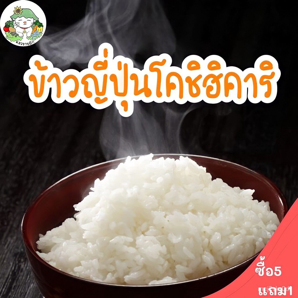 2022 plump seeds Japanese Rice koshi Hikari koshikari Japanese rice