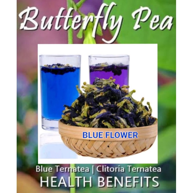 BLUE BUTTERFLY PEA Ternate Tea flower (100g, 50g, 30g,10g) | Shopee ...