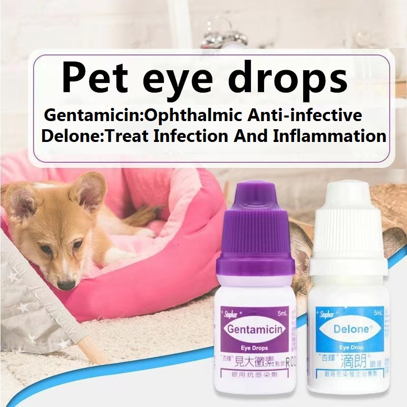 Sinphar Gentamicin Eye Drops for Pets 5ml | Shopee Philippines