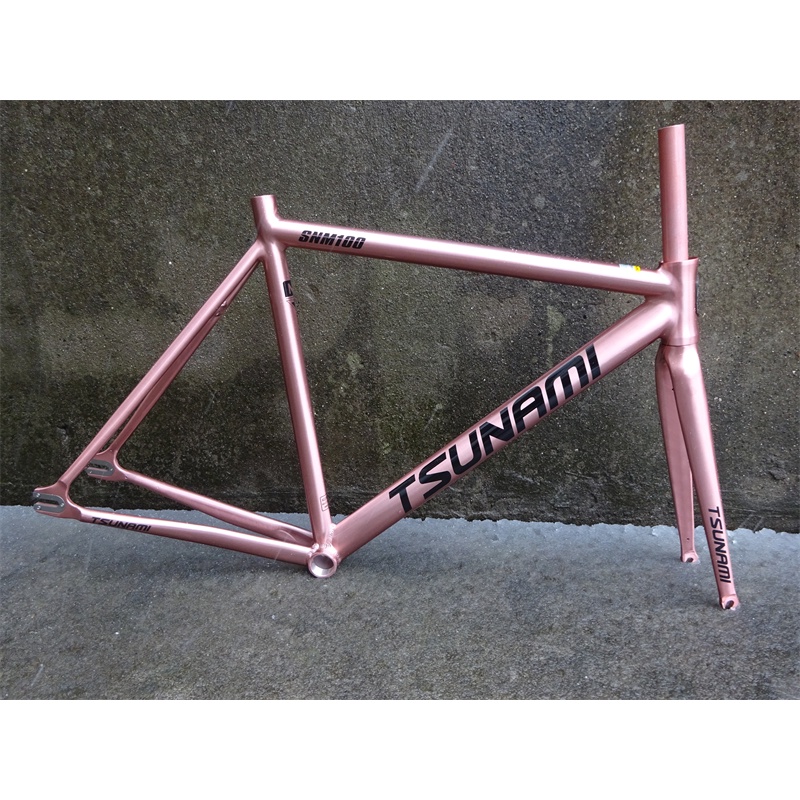 Tsunami philippines bike