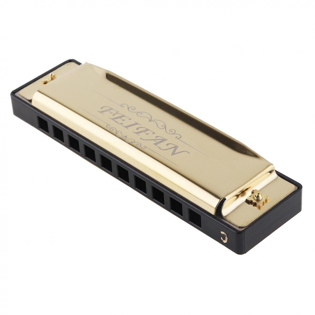 10 Holes 20 ToneC Matte Harmonica Blues Harp Mouth Organ Stainless ...