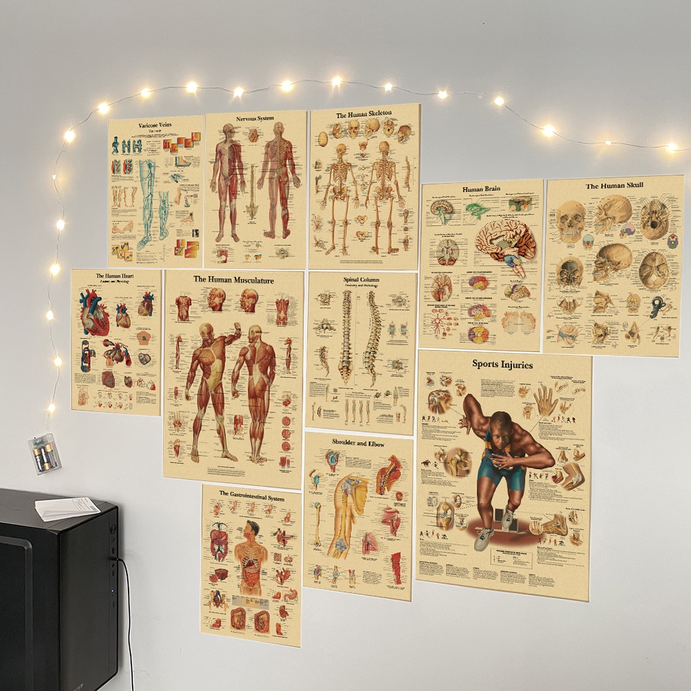 The Body Structure Retro Poster Anatomy and Physiology Kraft Paper ...