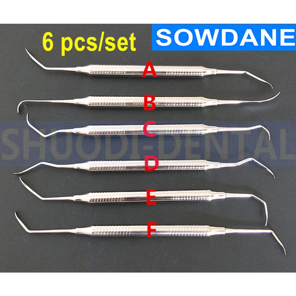 6pcs Dental Lift Elevator Elevators Stainless Steel Dental Implant 