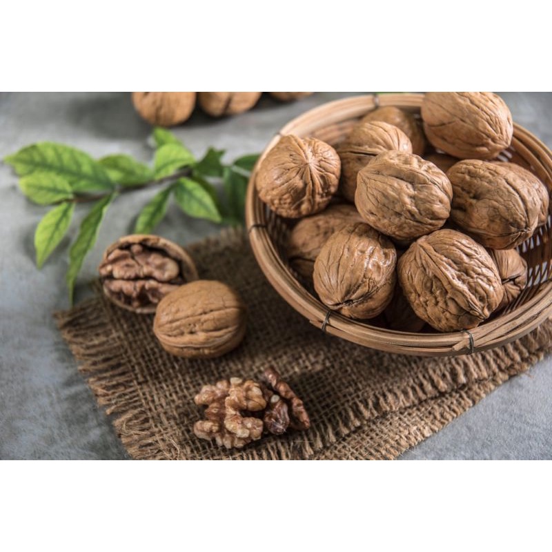 Shell Walnut Nut 250g | Shopee Philippines