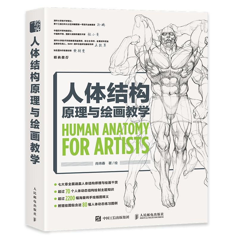 Human Anatomy For Artists Human Body Structure Principle and Painting ...