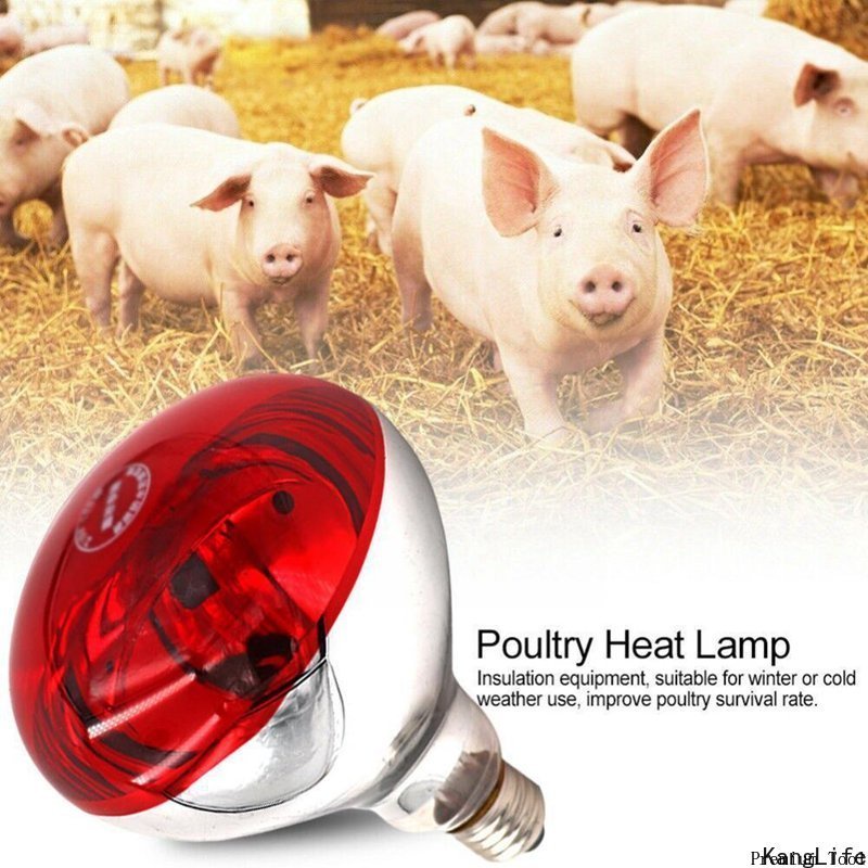 Piglet Heat Preservation Bulb Thermal Light Heating Lamp Thermal