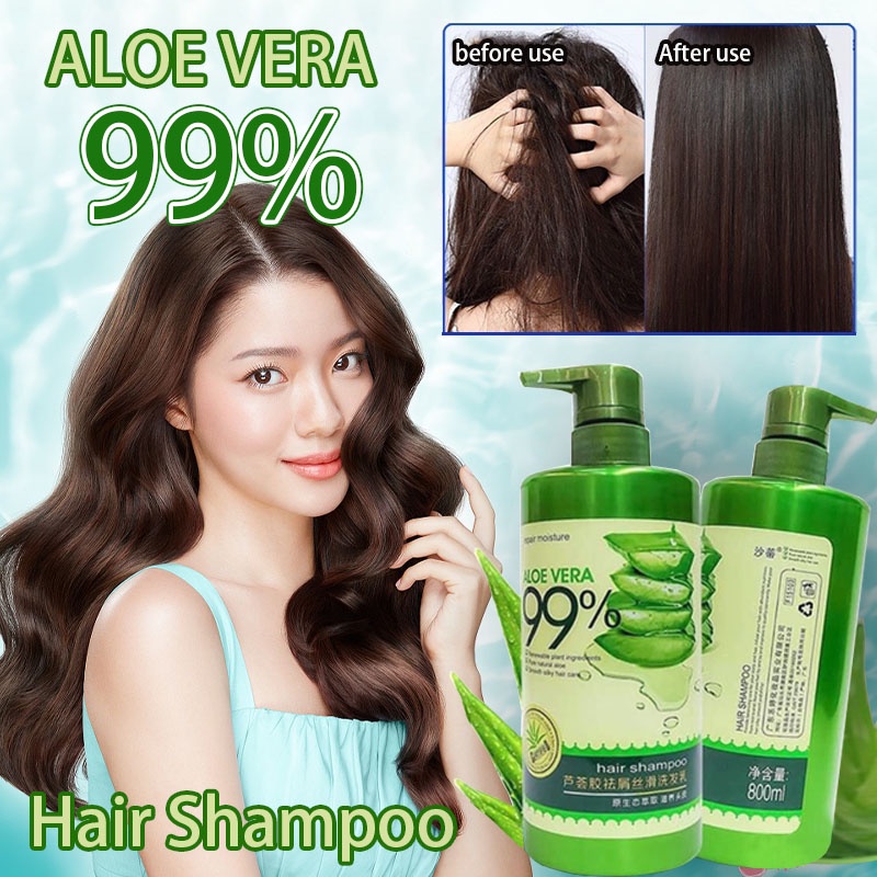 aloe vera shampoo and conditioner Original 100 Aloe Vera AntiDandruff Shampoo 800ml and Aloe