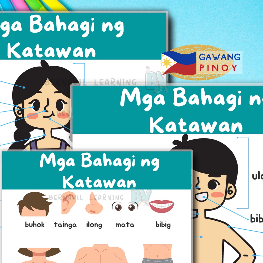 Parts of the Body Chart | Filipino/ Tagalog Laminated Educational Chart ...