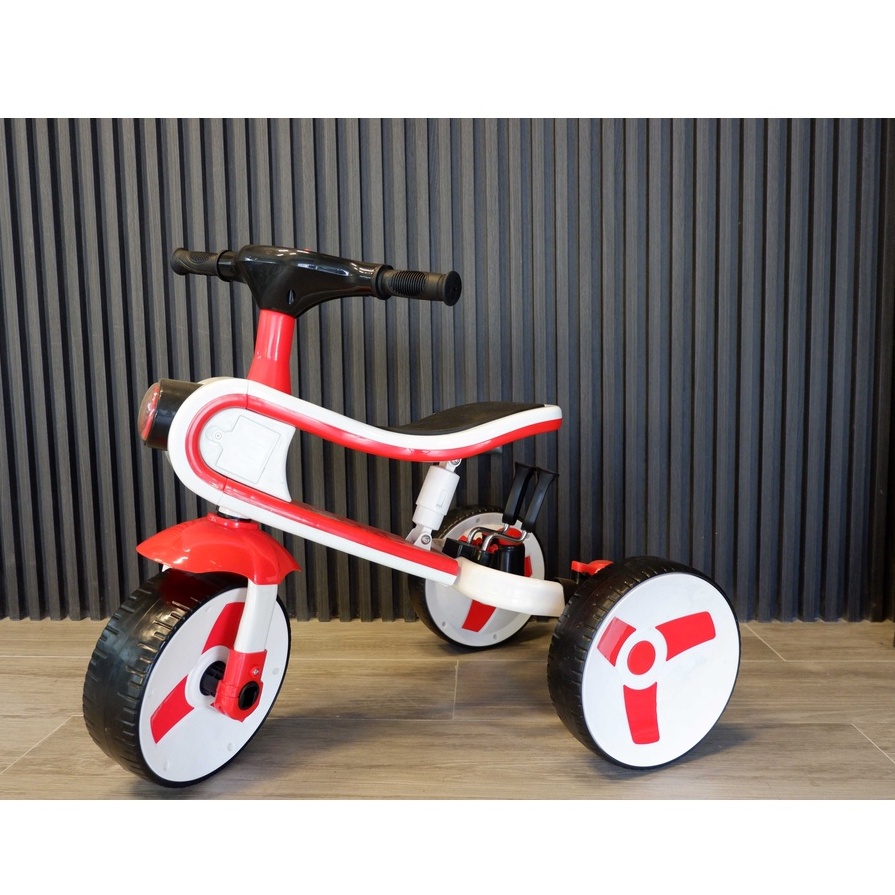 Tri Bike 12 Kids Bike Convertible