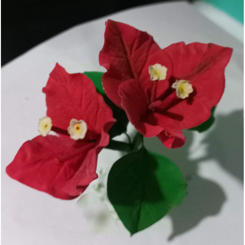 BOUGAINVILLEA EDIBLE FLOWER FOR CAKE TOPPER Shopee Philippines