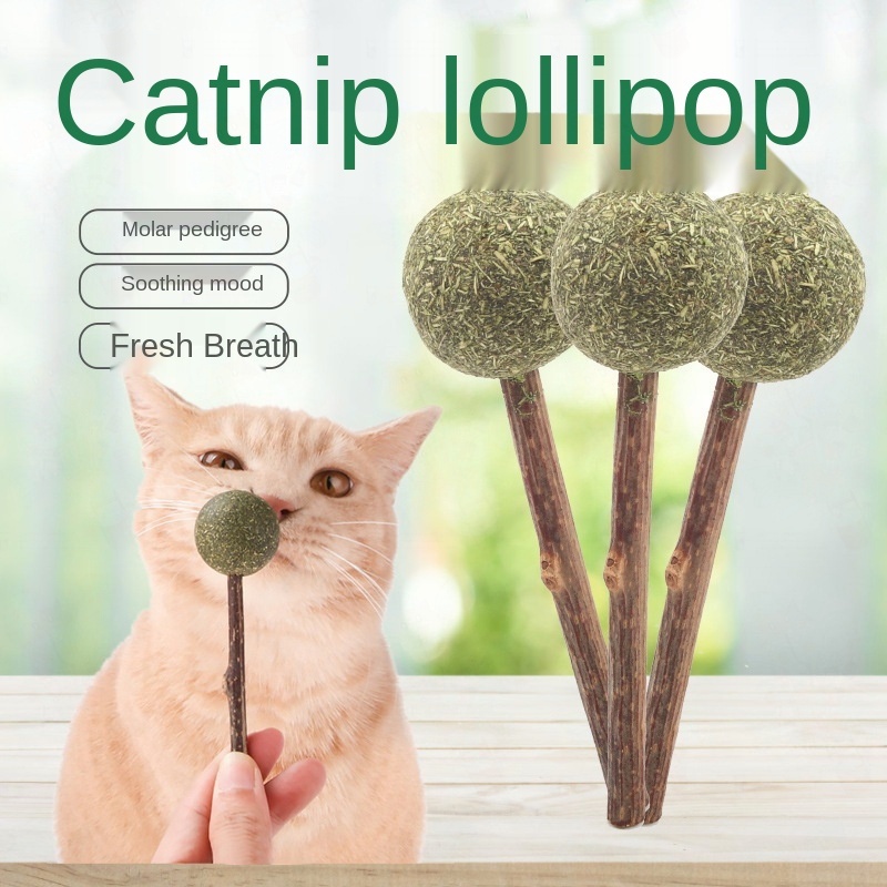 Cat Mint Lollipop Catnip Toy Natural Stick Catnip Ball Toothpaste Cats ...