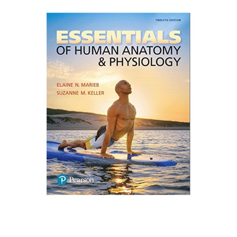 Essentials of Human Anatomy & Physiology 12th Edition | Shopee Philippines