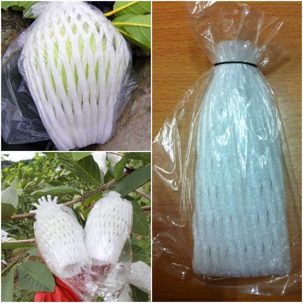 1kg of pre-wrapped guava foam (Foam + Plastic bag + Elastic) | Shopee ...
