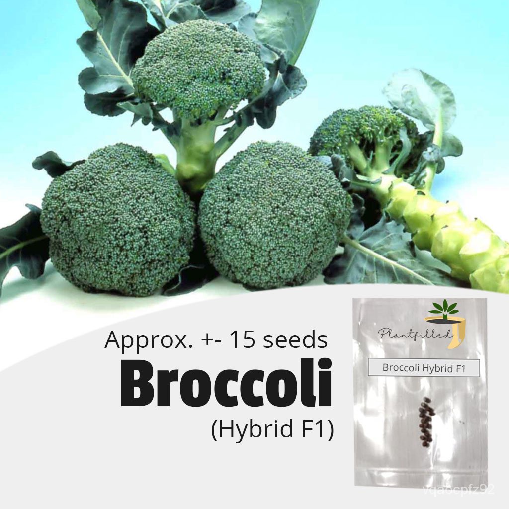 Broccoli Hybrid Vegetable