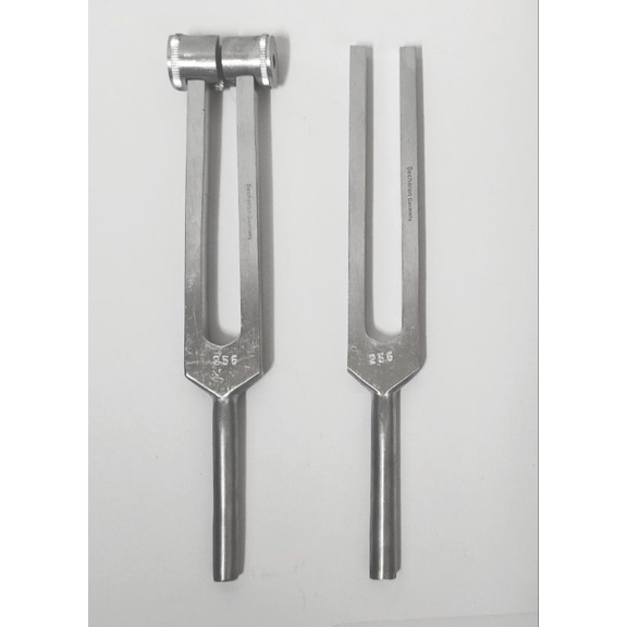 Secheron Tunning Fork - sold per peice | Shopee Philippines
