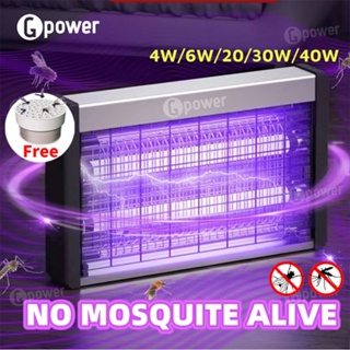 KAPAS Mosquito Killer, Electric Mosquito Zapper Indoor Night Lamp, Mosquito  Control, Mosquito Trap, Bug Zapper, Insect Zapper, Ideal for Indoor