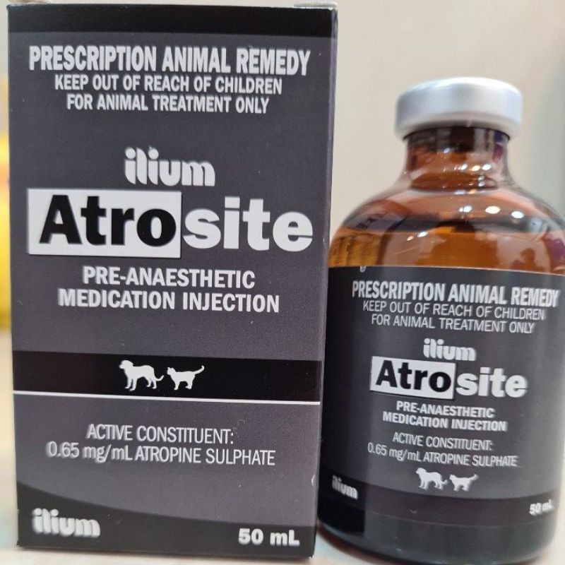 Ilium Atrosite 50mL Pre Anaesthetic Medication Injection For Dogs And   Sg 11134201 22110 Ar1aelh175jvb2