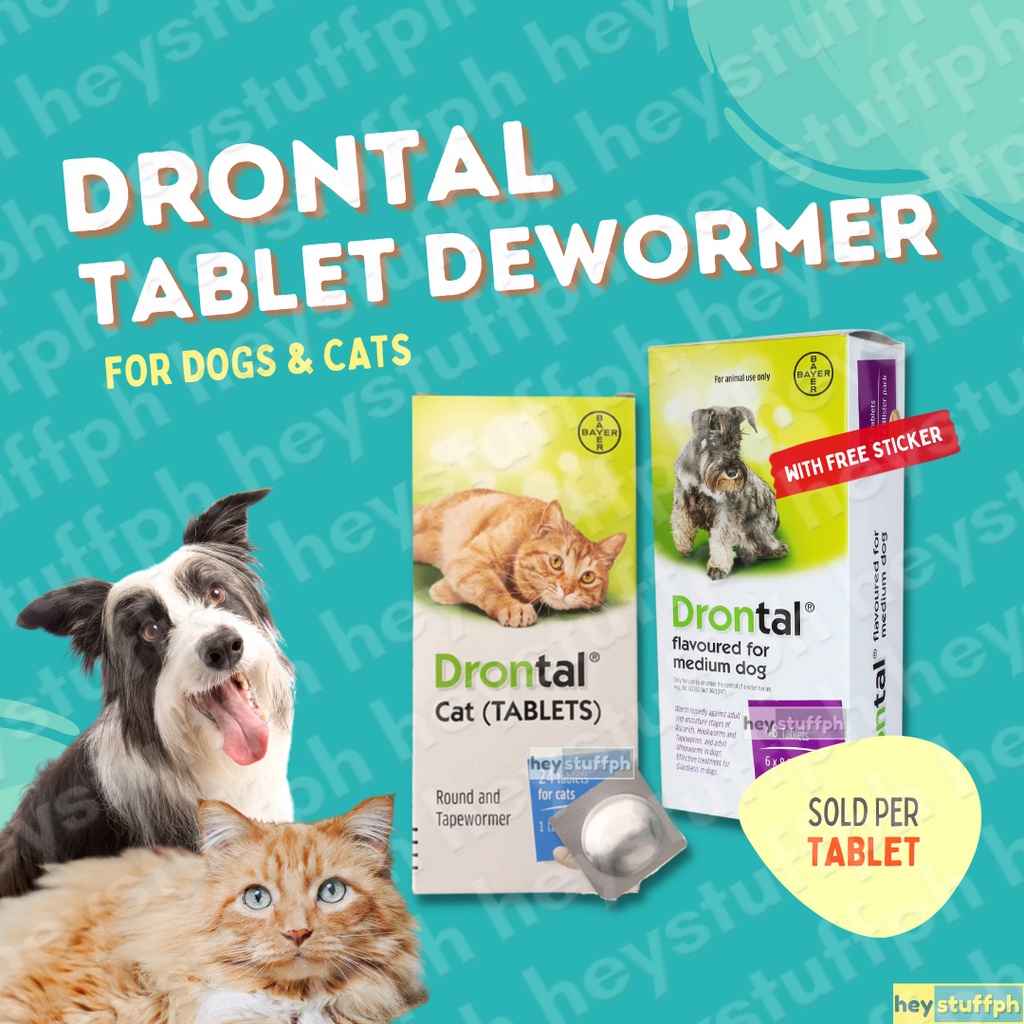 Drontal Per Tablet Tasty Dewormer for Dogs and Cats Shopee Philippines