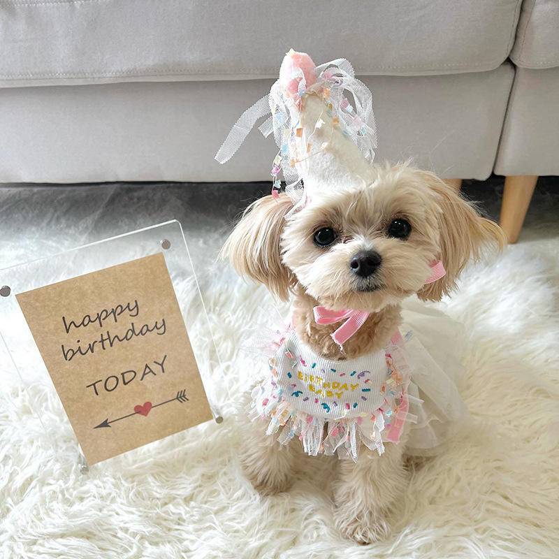 Pet Birthday Bib and Hat Dog Birthday Costume Korean Cat Happy Birthday Hat  Bib Pet Dog Birthday Party Saliva Towel Neck Accessories