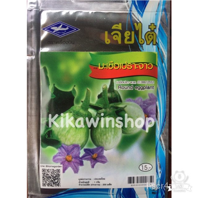 Chia Tai brittle eggplant seeds (10 get 1 Assorted) IAND | Shopee ...