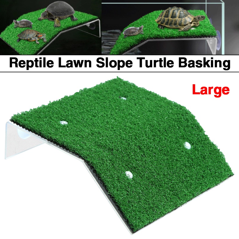 Turtle Basking Drying Platform Suction Cup Tortoise Climbing for Fish ...