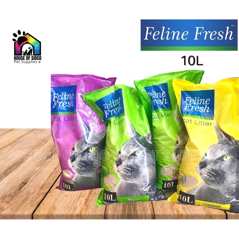 Feline fresh best sale