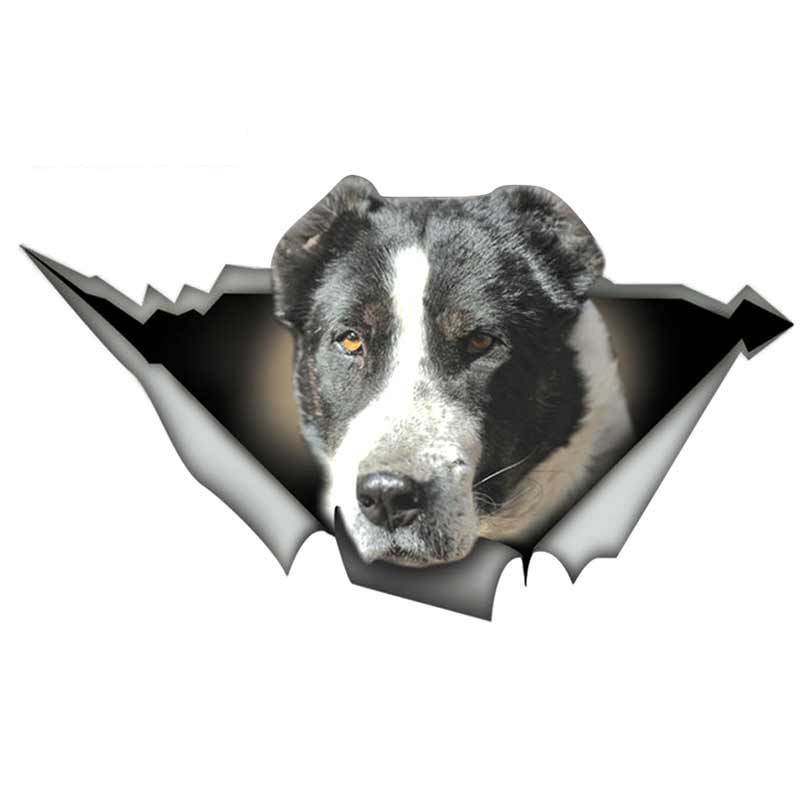 Interesting 3D Black and White Alabai Car Sticker Accessories Decal Car ...