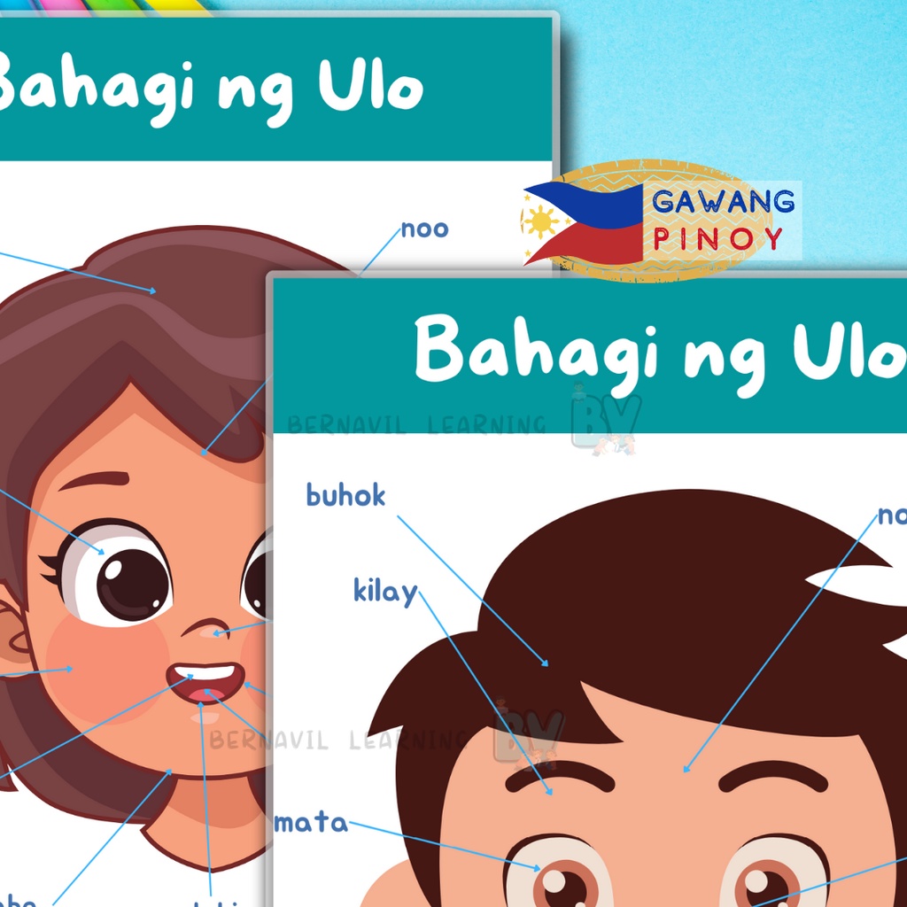 Parts of the Head Chart Filipino/ Tagalog Laminated Educational Chart