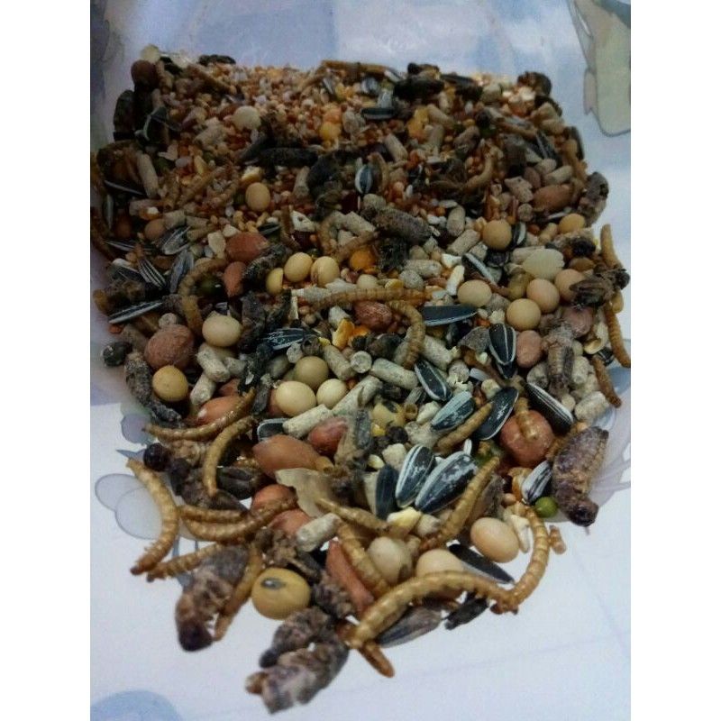 1kg Hamster Food Mixed Grain With Caterpillars And Dry Crickets High Protein Hamster Food