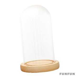 [funfun1] Decorative Clear Glass Cloche Bell Jar Display Case With Led 